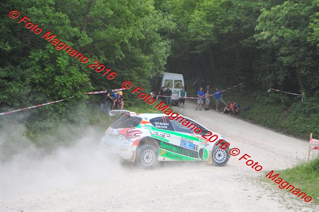 DSC_6464.JPG